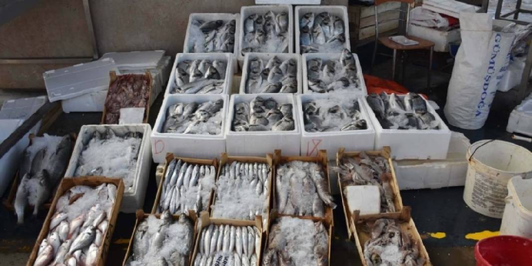 Yurt dışına kasa kasa gidiyor! İtalya, İspanya, Portekiz istiyor: 300 TL’lik fiyattan ürün talebe yetmiyor 3